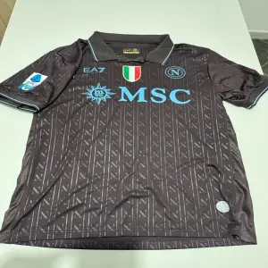 torresani stefano