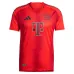Bayern Munich 2024/25 Home Authentic Jersey - Red