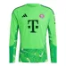 Maglia Manica Lunga Portiere Bayern Monaco 2026/27 Verde