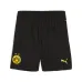 Borussia Dortmund 2024/25 Kids' Home Kit - Yellow