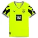 Borussia Dortmund 2024/25 Special Fan Version - Green