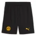 BVB Dortmund 2025/26 Kids' Cup Kit Set - Yellow