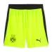 Dortmund 2025/26 Away Shorts - Green