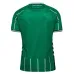 Werder Bremen 2025/26 Home Match Jersey