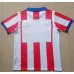 Atletico Madrid Retro Jersey 2014 Home - Red/White
