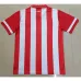 Atletico Madrid Retro Jersey 2013/14 Home - Red/White