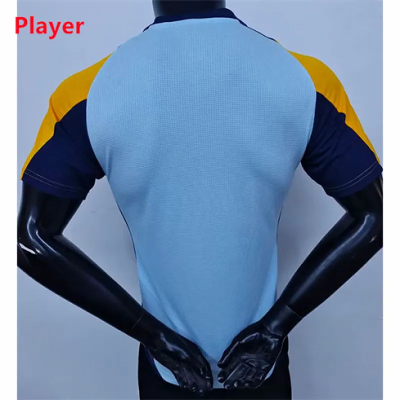 Maillot de joueur d'entraînement du Real Madrid 2024/25 - Blanc