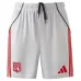 Lyon 2025/26 Camiseta Third Niño con Pantalones - Gris