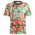 Arsenal 2024/25 Training Jersey - Fan Version (Multicolor)