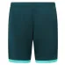 Wolves 2025/26 Away Shorts - Green