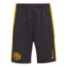 Inter Milan 2024/25 Kinder Dritttrikot - gelb
