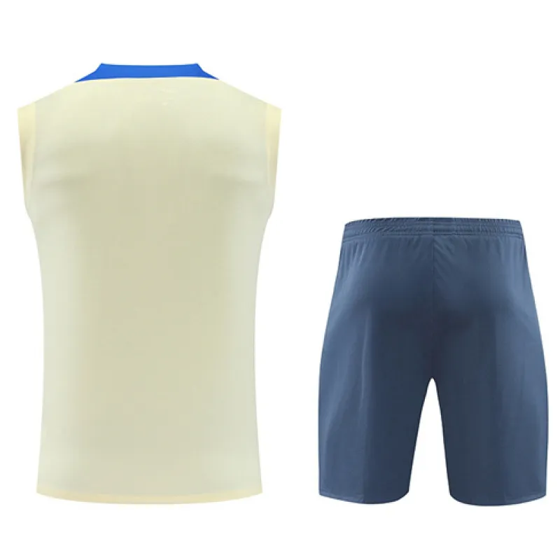 Inter Milan 2024/25 training set shorts and vest - yellow