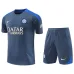 Inter Milan 2024/25 training shirt + shorts - wholesale - grey