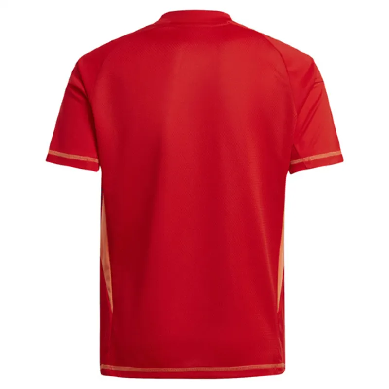 Maillot de gardien de Juventus 2024/25 - Rouge