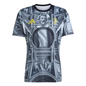 Juventus 2025/26 Del Piero Pre-Match Jersey - Grey