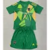 Camiseta infantil de arquero de Boca Juniors 2024/25 - Verde