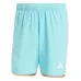 Inter Miami 2024/25 Dritte Shorts - Grün