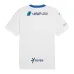 Al Hilal 2024/25 Away Player Jersey