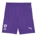 Al Hilal 2024/25 Third Shorts - Purple