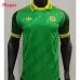 Maillot spécial de Celtic 2024/25 - Joueur - Vert