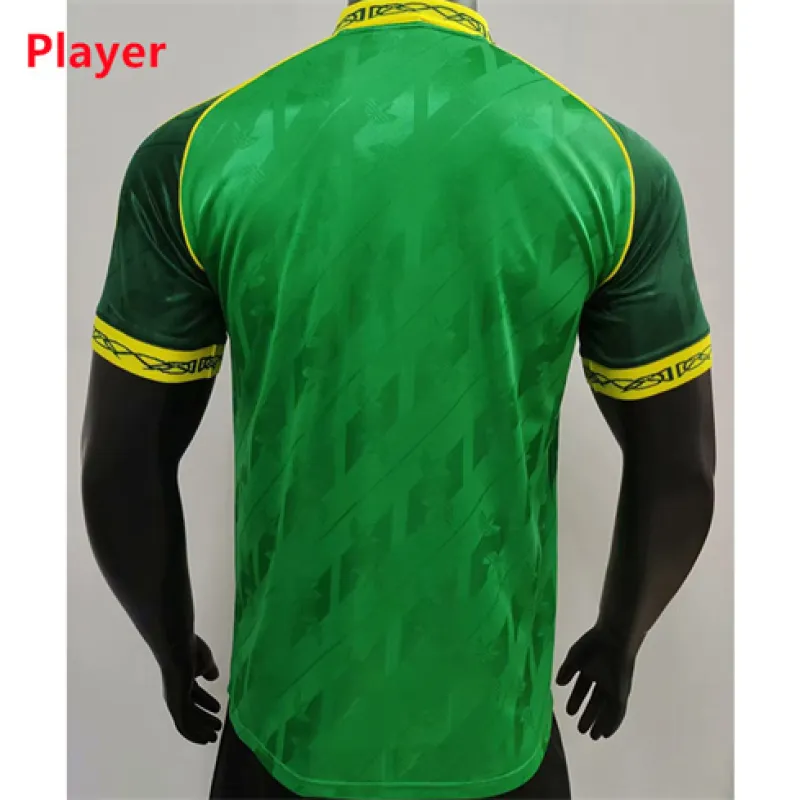 Maillot spécial de Celtic 2024/25 - Joueur - Vert
