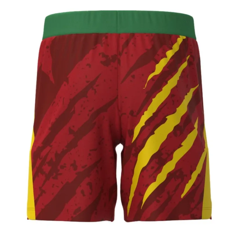 Cameroun Enfants 2025/26 Kit domicile - Vert