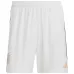 Ensemble Maillot domicile Allemagne 2022 Coupe du Monde - Enfants - Blanc