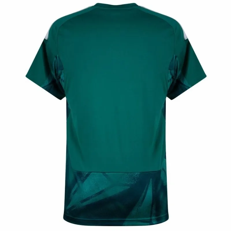 Allemagne 2026/27 Maillot de gardien domicile - Vert