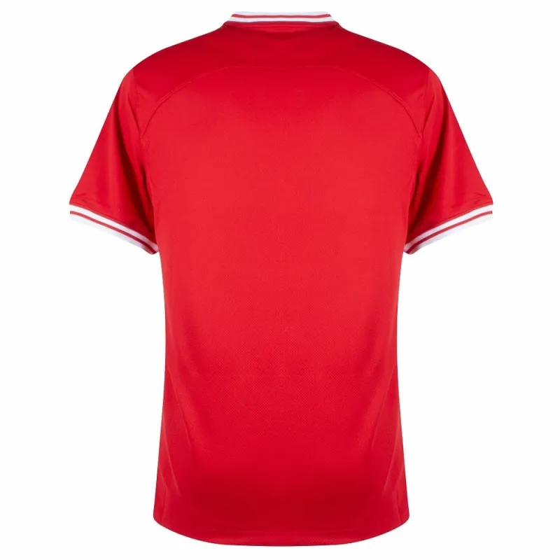 Le maillot extérieur de la Pologne pour l'Euro 2024 - Rouge