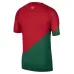 Camiseta de la versión de jugador de la camiseta local de la Copa del Mundo FIFA 2022 de Portugal - Rojo y Verde
