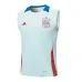 Gilet + short de l'Espagne 2024/25 - blanc