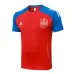 Costume d'entraînement et shorts de l'Espagne 2024/25 - rouge