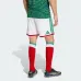 Kit Domicile Enfant Mexique S. GIMENEZ 2026/27 Vert