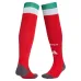 Kit Domicile Enfant Mexique S. GIMENEZ 2026/27 Vert