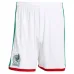 Tenue domicile junior du Mexique CHICHARITO 2026/27 Vert