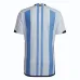Argentinien 2022 Weltmeisterschaft 3-Sterne Match-Trikot (Himmelblau)
