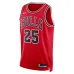 Dalen Terry Chicago Bulls Unisex NBA Draft 2022 1. Runde Icon Edition Trikot