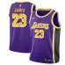 LeBron James, Los Angeles Lakers, 2018/19, Violet