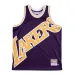 Los Angeles Lakers, Lila