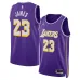 Los Angeles Lakers Maillot Swingman LeBron James - Édition Personnalisée - Violet