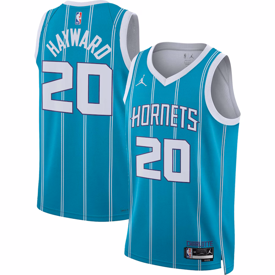 Canotta Basket Gordon Hayward Charlotte Hornets Jordan Brand Swingman