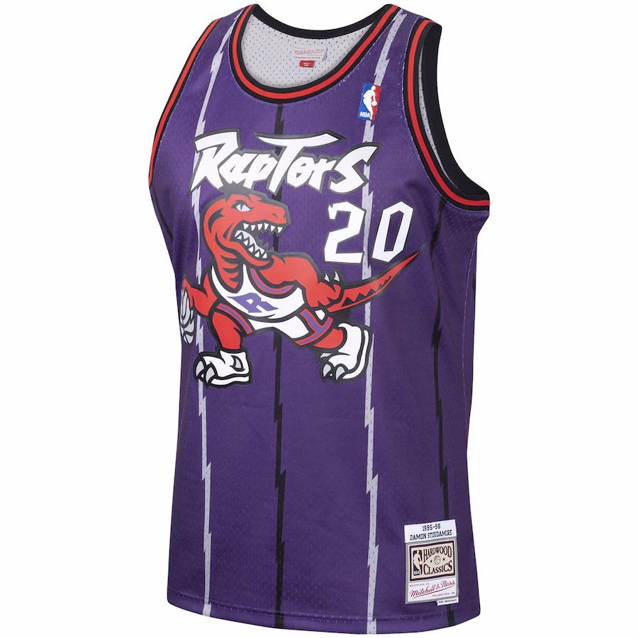 Camiseta Damon Stoudamire Toronto Raptors 1995/96 Mitchell & Ness Swingman HWC